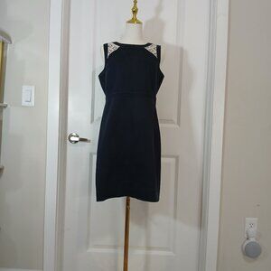 Ann Taylor Sheath Dress Women's Size 8 Petite Navy Lace Detail Sleeveless